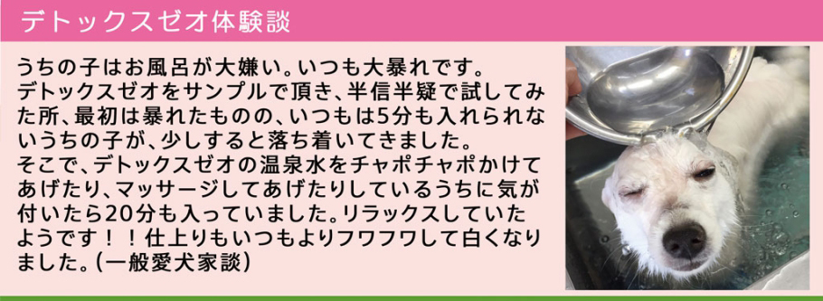 ゼオライト温泉デトックスゼオ体験談