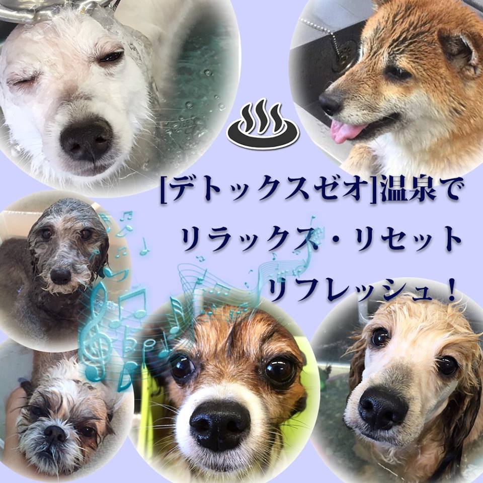 犬猫美容室