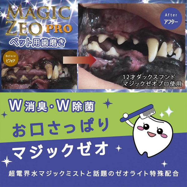 三重県四日市市 ペットホテル