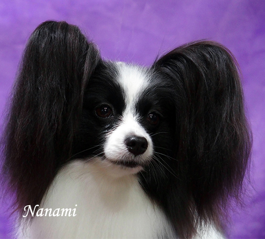 BIS IntCh Nanami