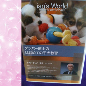 dvd.jpg