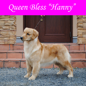 hanny3.jpg