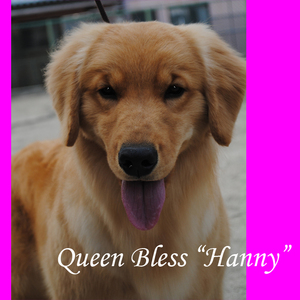hanny4.jpg