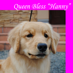 hanny6.jpg