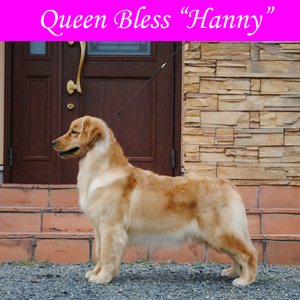 hanny7.jpgのサムネール画像のサムネール画像
