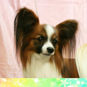 yuma5.jpg