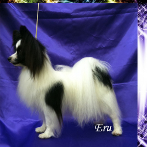 eru11.jpg