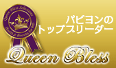 パピヨンのトップブリーダー | QueenBless