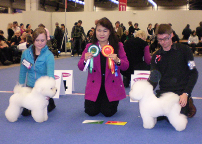 crufts